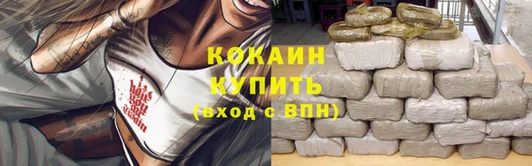 ГАЛЛЮЦИНОГЕННЫЕ ГРИБЫ Абаза