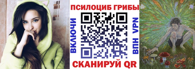 Галлюциногенные грибы мицелий  кракен маркетплейс  Курчатов 